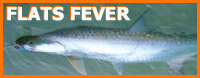 Click to visit www.flatsfever.com